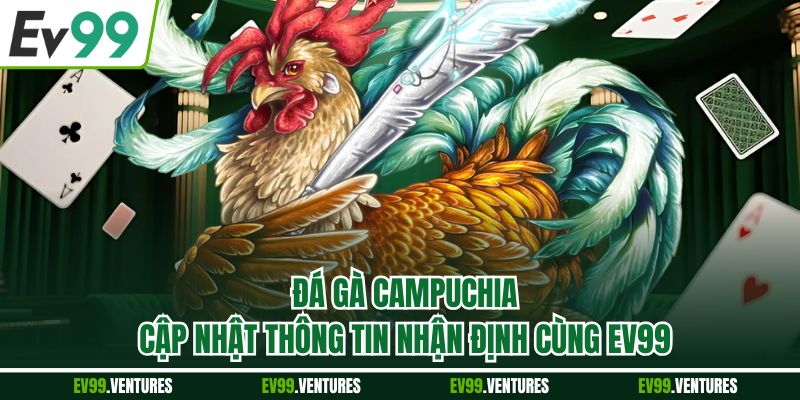 Đá Gà Campuchia - Cập Nhật Thông Tin Nhận Định Cùng EV99